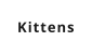 Kittens